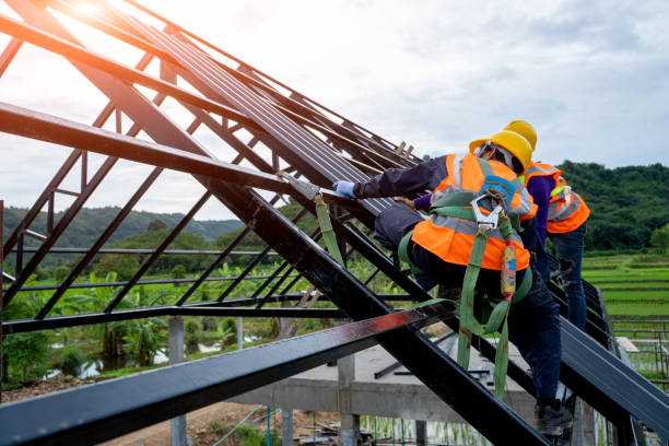 Best Roof Gutter Cleaning  in Barrett, TX